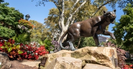 Panther statue outside of William Pitt Union
