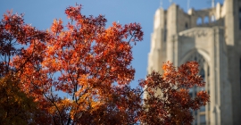 Cathedral of Learning in fall